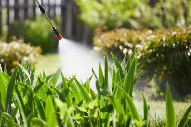 24/7 Emergency Mosquito Control experts in Andrews, NC