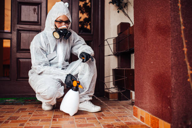 Reliable Mosquito Control contractor in Andrews, NC by Show Me Pest Control